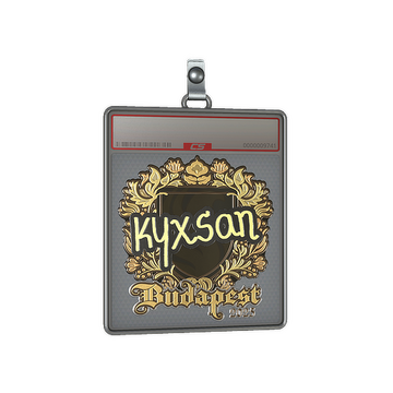 Sticker Slab | kyxsan (Gold) | Budapest 2025