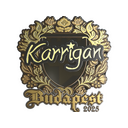 karrigan (Gold) | Budapest 2025