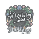 molodoy | Budapest 2025