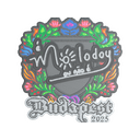 molodoy (Embroidered) | Budapest 2025