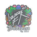 Lucaozy (Embroidered) | Budapest 2025