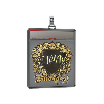 Sticker Slab | FlameZ (Gold) | Budapest 2025