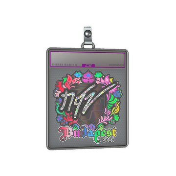 Sticker Slab | NQZ (Holo) | Budapest 2025