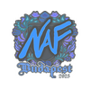 Sticker | NAF | Budapest 2025