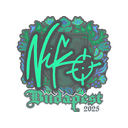 NiKo | Budapest 2025