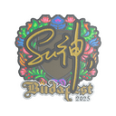 C4LLM3SU3 (Embroidered) | Budapest 2025