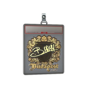 Sticker Slab | bodyy (Gold) | Budapest 2025