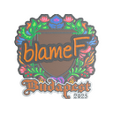 blameF (Embroidered) | Budapest 2025