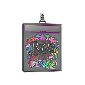 Sticker Slab | biguzera (Holo) | Budapest 2025