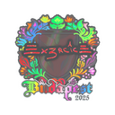 Ex3rcice (Holo) | Budapest 2025