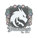 Team Spirit | Budapest 2025