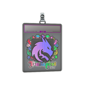 Sticker Slab | Team Spirit (Holo) | Budapest 2025