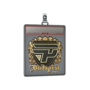 Sticker Slab | paiN Gaming (Gold) | Budapest 2025