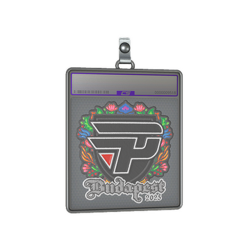 Sticker Slab | paiN Gaming (Embroidered) | Budapest 2025