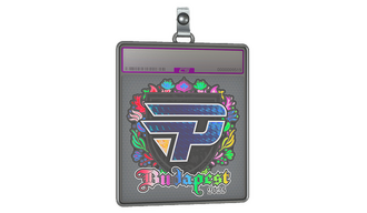 Sticker Slab | paiN Gaming (Holo) | Budapest 2025