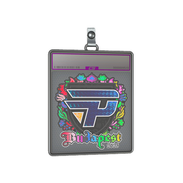 Sticker Slab | paiN Gaming (Holo) | Budapest 2025