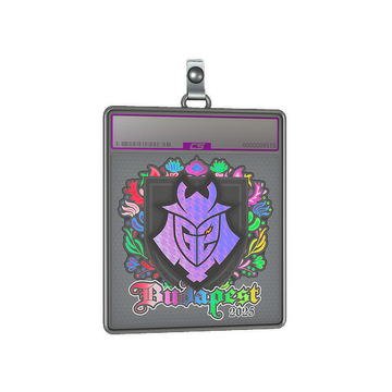 Sticker Slab | G2 esports (Holo) | Budapest 2025
