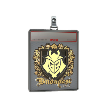 Sticker Slab | G2 esports (Gold) | Budapest 2025