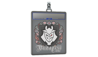 Sticker Slab | G2 esports | Budapest 2025