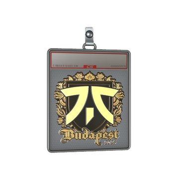 Sticker Slab | fnatic (Gold) | Budapest 2025