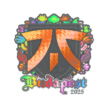 Sticker | fnatic (Holo) | Budapest 2025