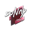 Sticker | suNny | Boston 2018