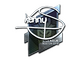 Sticker | kennyS (Foil) | Boston 2018