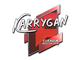 Sticker | karrigan | Boston 2018