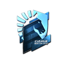Team Liquid (Foil) | Boston 2018
