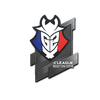Sticker | G2 Esports | Boston 2018