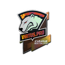 Virtus.Pro (Holo) | Boston 2018