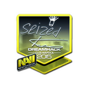 seized (Foil) | Cluj-Napoca 2015