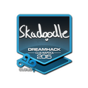 Skadoodle | Cluj-Napoca 2015