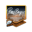 pashaBiceps (Foil) | Cluj-Napoca 2015