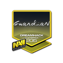 GuardiaN | Cluj-Napoca 2015