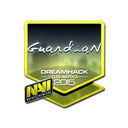 GuardiaN (Foil) | Cluj-Napoca 2015