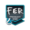 fer | Cluj-Napoca 2015