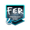 fer (Foil) | Cluj-Napoca 2015