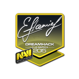 Sticker | flamie | Cluj-Napoca 2015