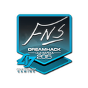 FNS | Cluj-Napoca 2015