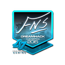 FNS (Foil) | Cluj-Napoca 2015