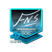 Sticker | FNS (Foil) | Cluj-Napoca 2015