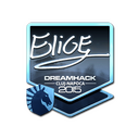 EliGE (Foil) | Cluj-Napoca 2015