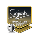 cajunb | Cluj-Napoca 2015