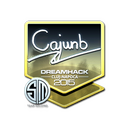 cajunb (Foil) | Cluj-Napoca 2015