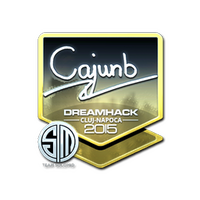 Sticker | cajunb (Foil) | Cluj-Napoca 2015