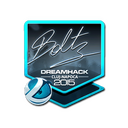 boltz (Foil) | Cluj-Napoca 2015