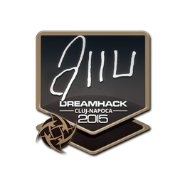 Sticker | allu | Cluj-Napoca 2015