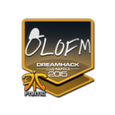 olofmeister | Cluj-Napoca 2015