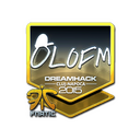 olofmeister (Foil) | Cluj-Napoca 2015